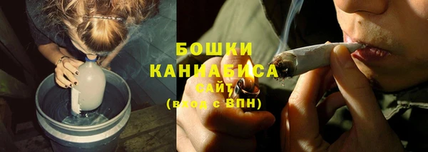 ПСИЛОЦИБИНОВЫЕ ГРИБЫ Абаза