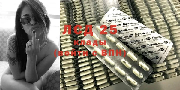 ПСИЛОЦИБИНОВЫЕ ГРИБЫ Абаза
