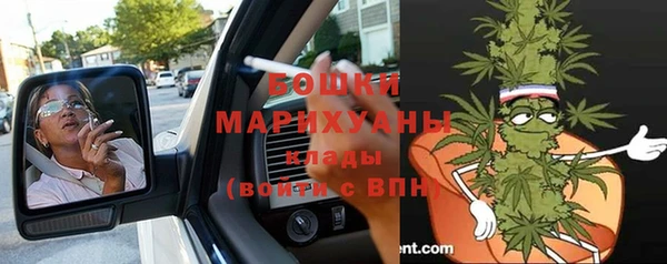 ПСИЛОЦИБИНОВЫЕ ГРИБЫ Абаза