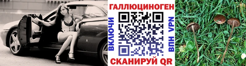 Псилоцибиновые грибы Cubensis  продажа наркотиков  Агидель 